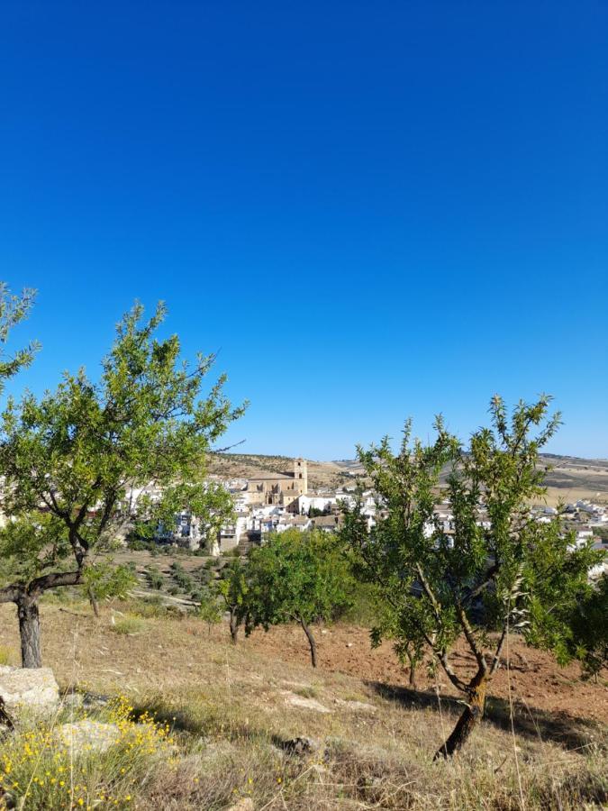La Casita De Papel Alhama De Granada别墅 外观 照片